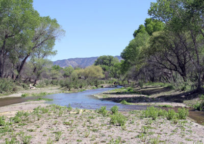 The Santa Cruz River, near San Lazaro, Sonora, Mexico