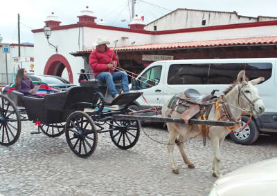 A carriage ride in Magdalena de Kino